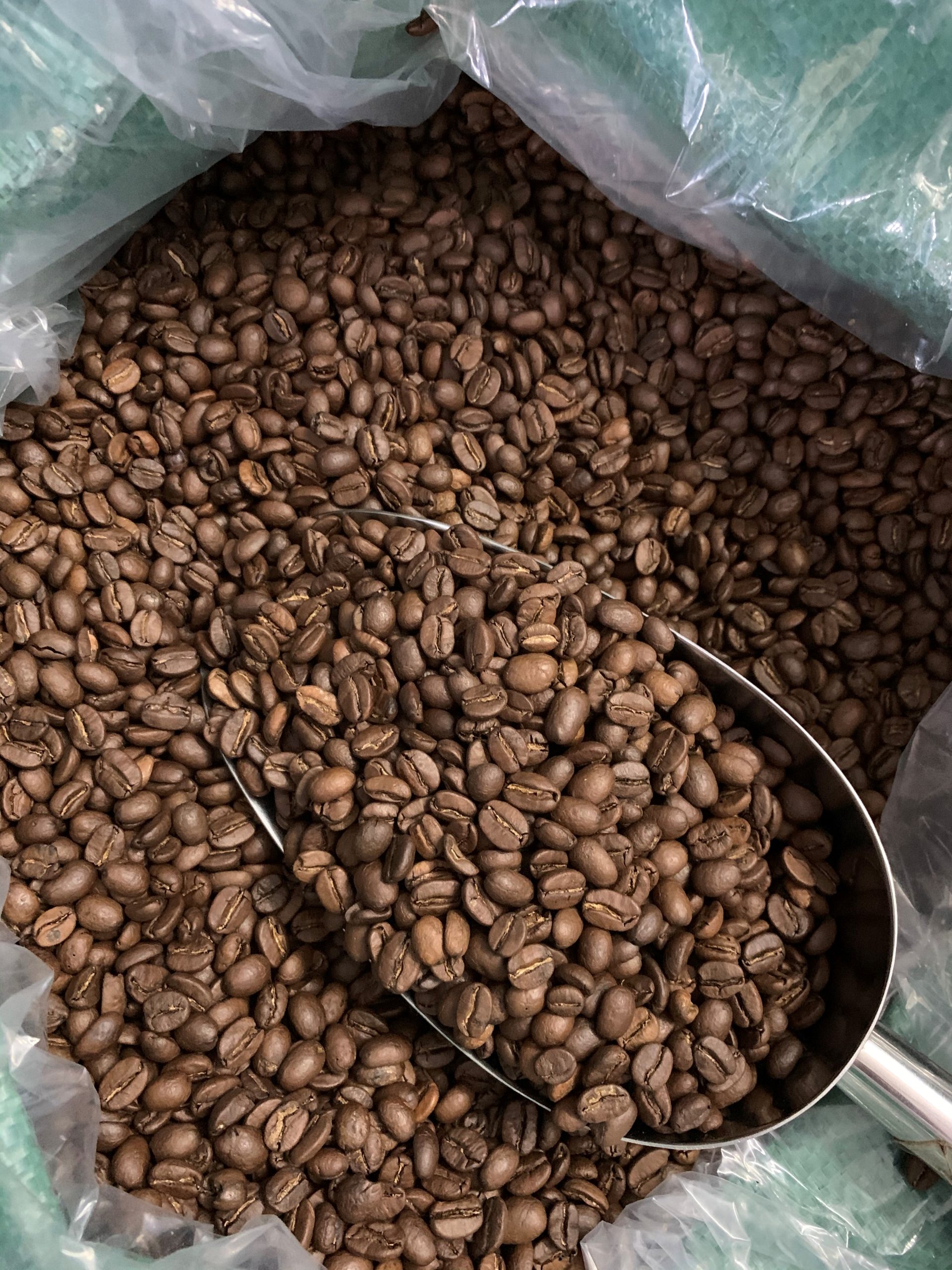 Arabica Khe Sanh — Rang Vừa, Chế Biến Honey - Ảnh 7