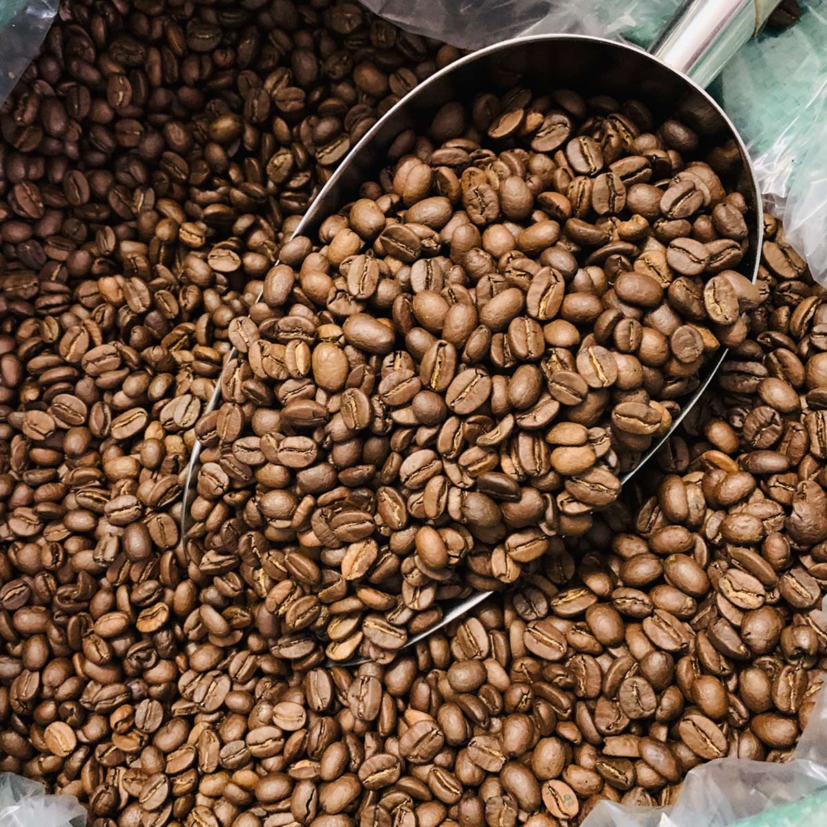 Arabica Khe Sanh — Rang Vừa, Chế Biến Honey