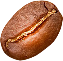 Cafe Cầu Đất – Đắk Lắk. Loại hạt Khesaca Coffee nguyên chất Moka & Robusta túi 500gr -CB150PMR - Ảnh 5